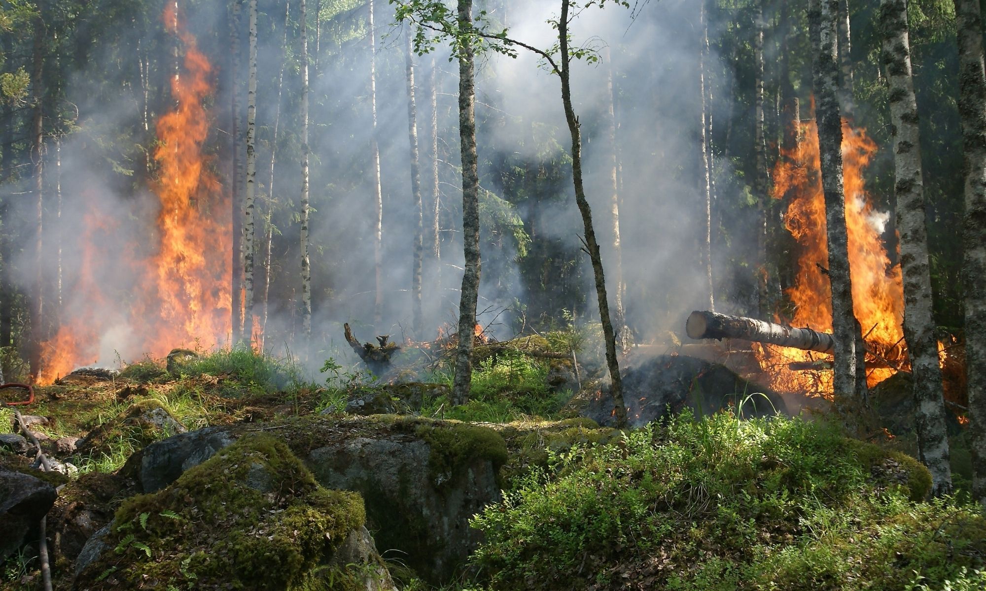 Wildfire Smoke and Indoor Air Quality