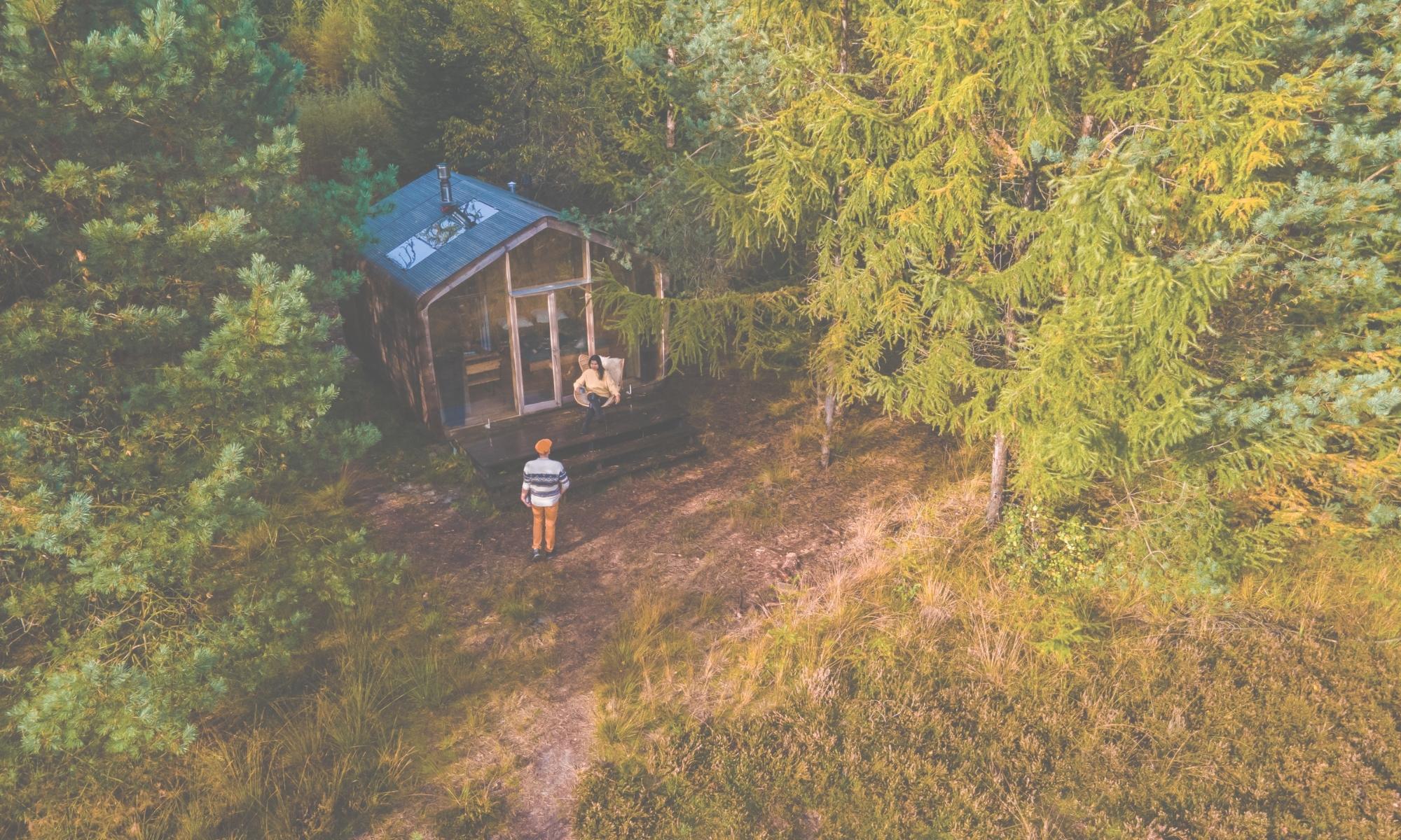 Cabin Fever