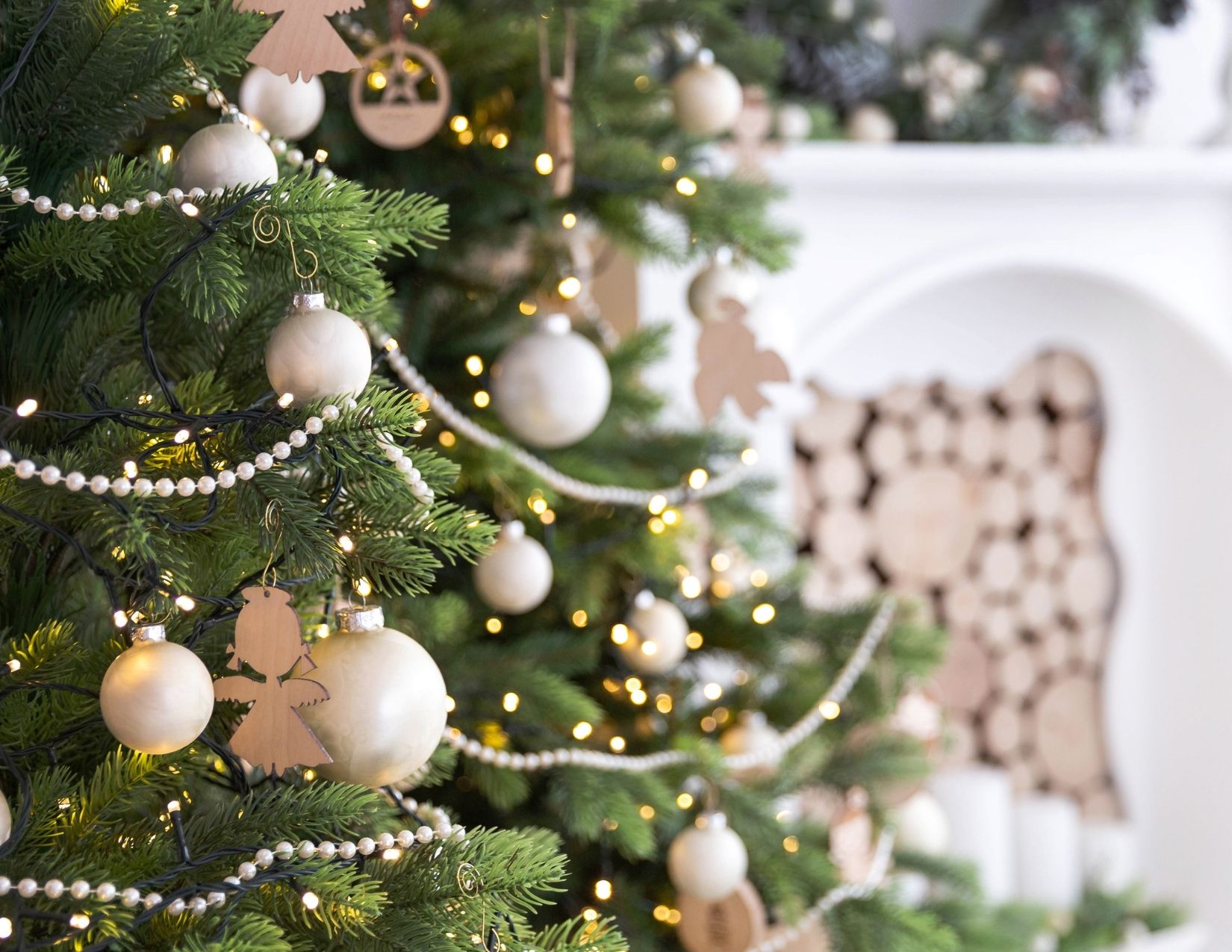 Christmas Trees 101