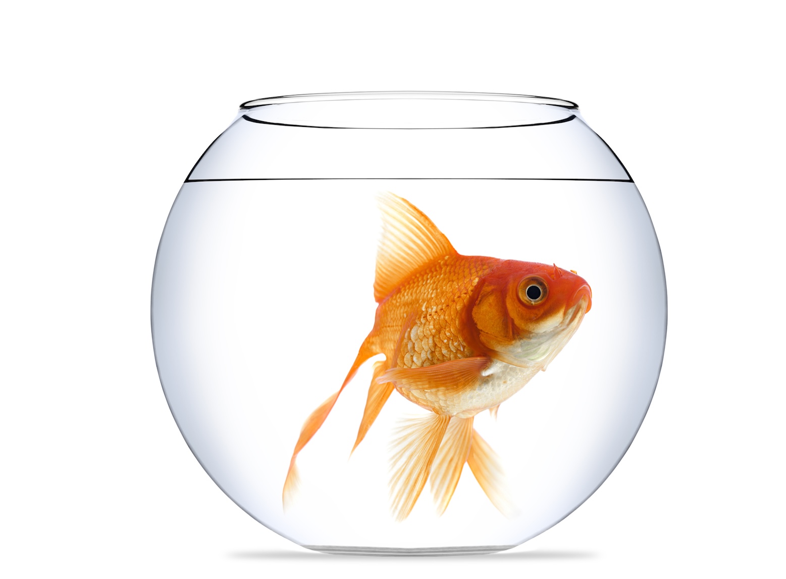 Can Real Estate Agents Benefit From Being a Big Fish in a Small Pond?