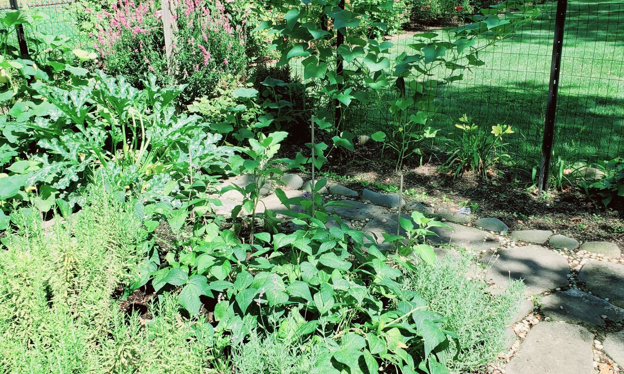 Modern Victory Gardens