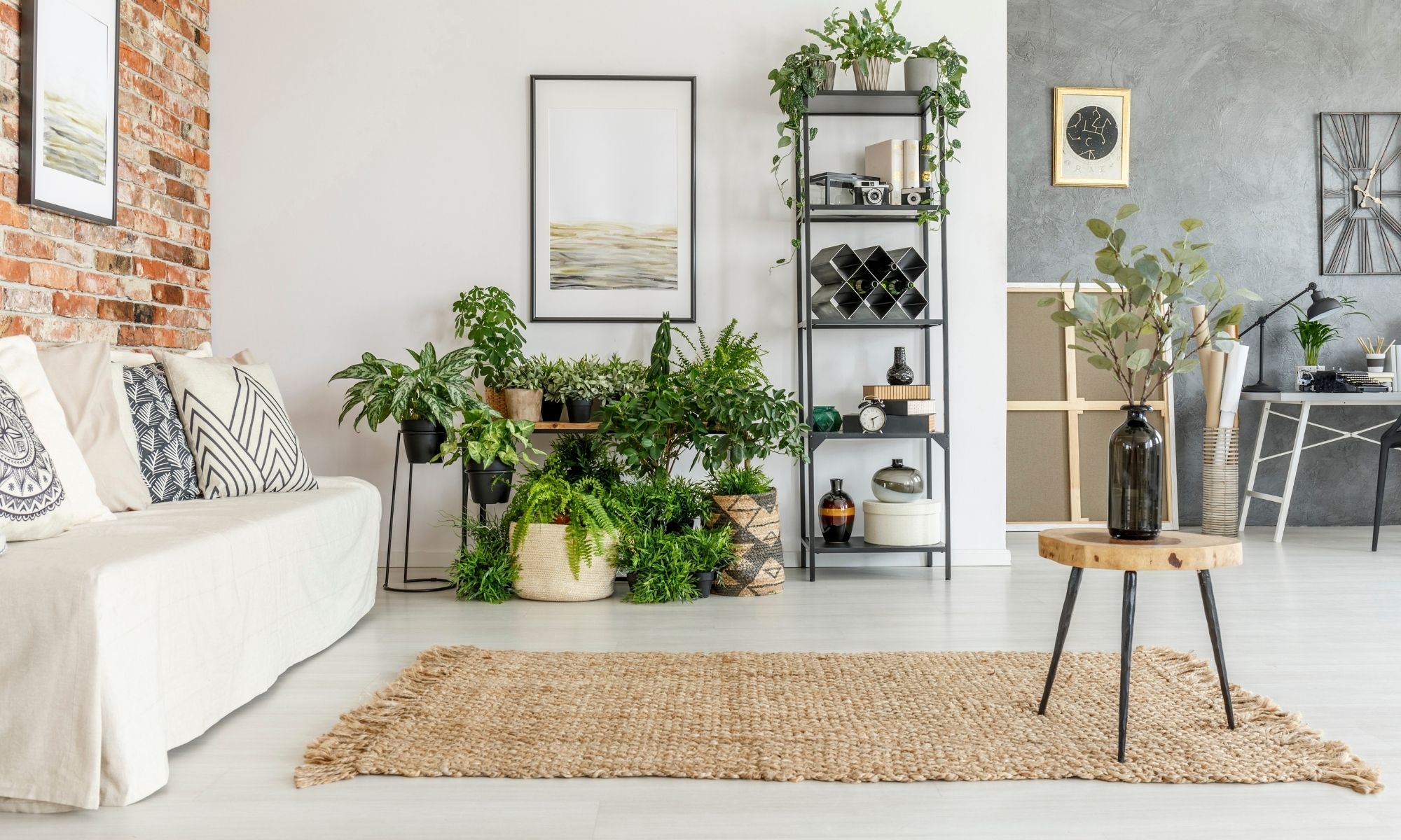 Help your houseplants