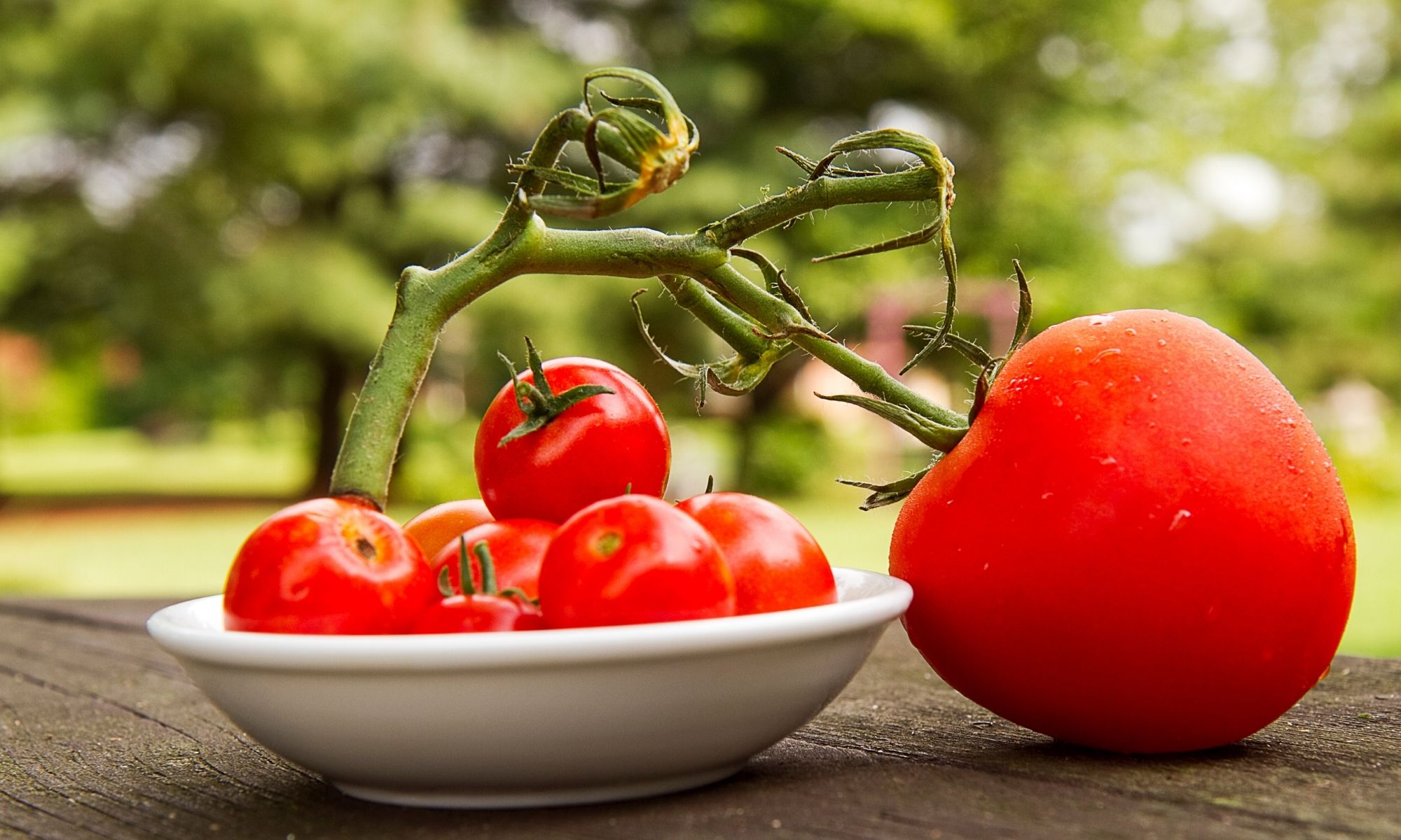 Ten Proven Gardening Techniques
