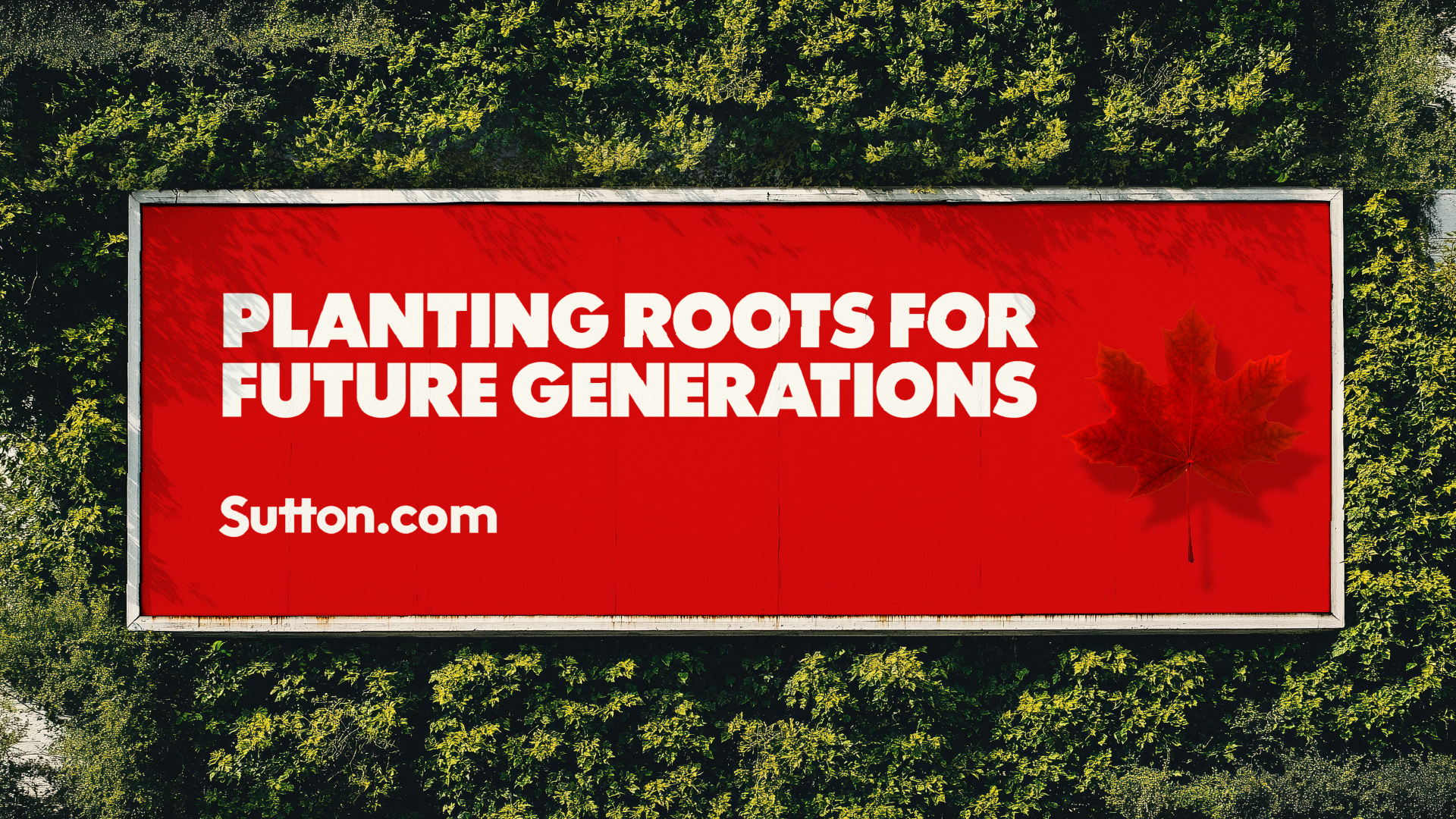Planting Roots For Future Generations