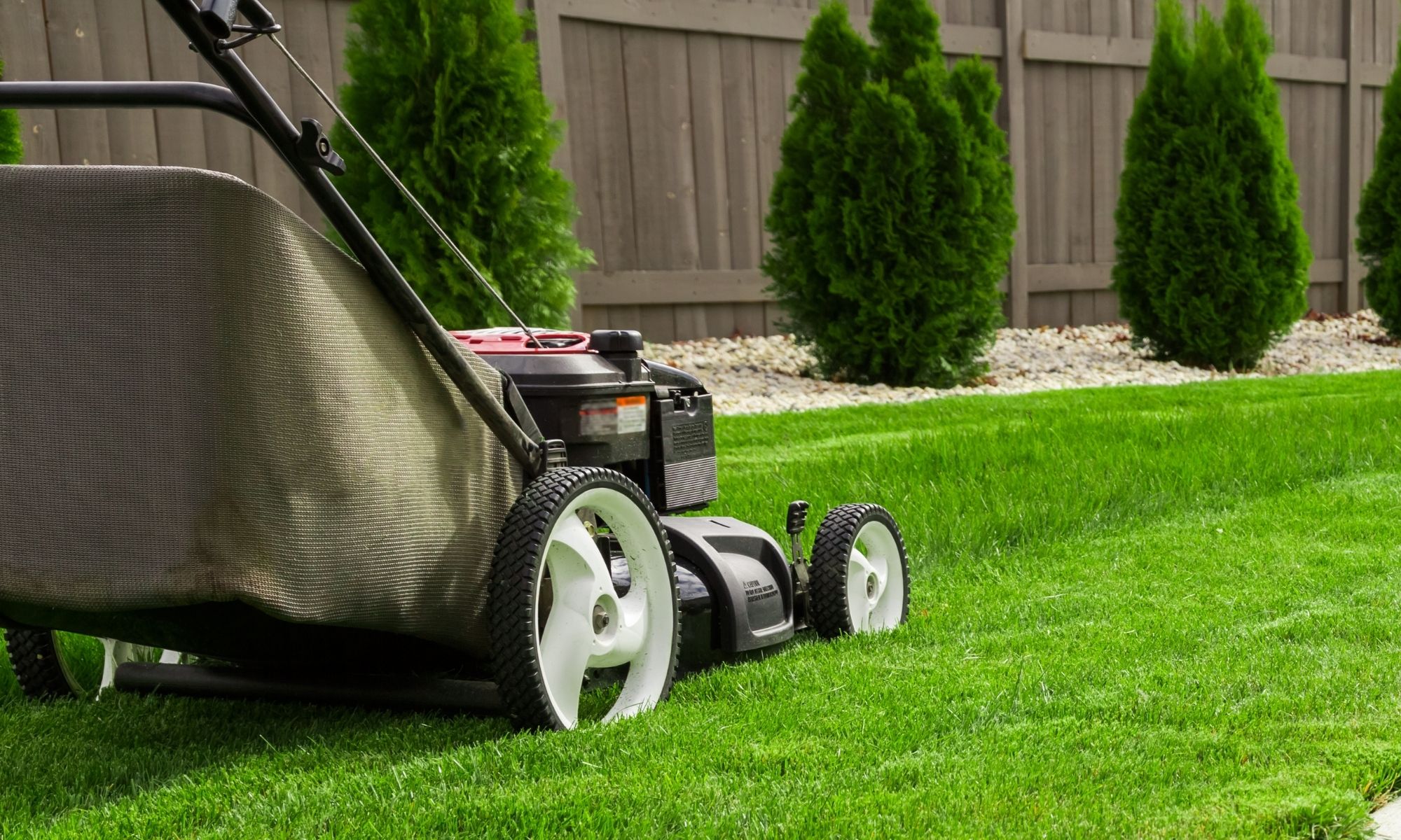 Modern Lawns